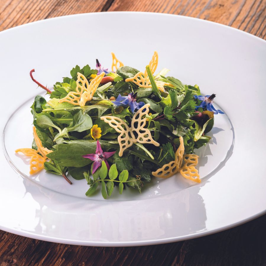 Fresh salad