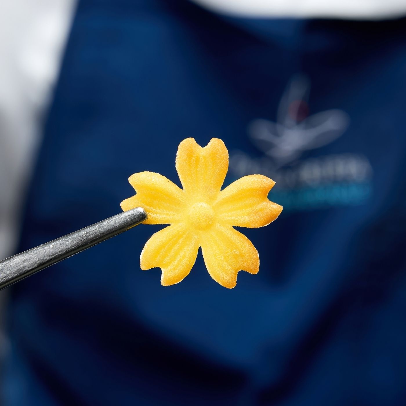 GG076 Floralia