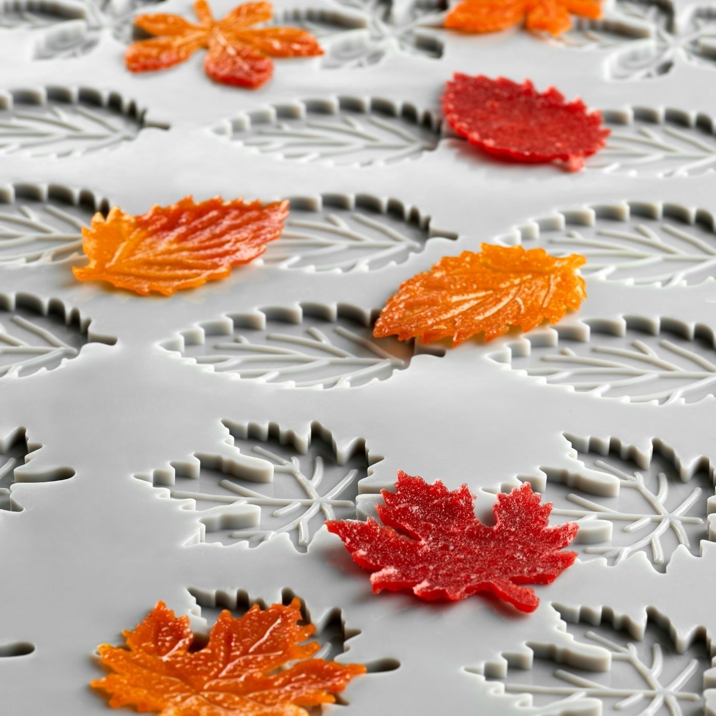 GG077 Foliage