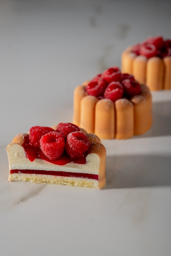 Charme PX43129 silicone mold for single portions