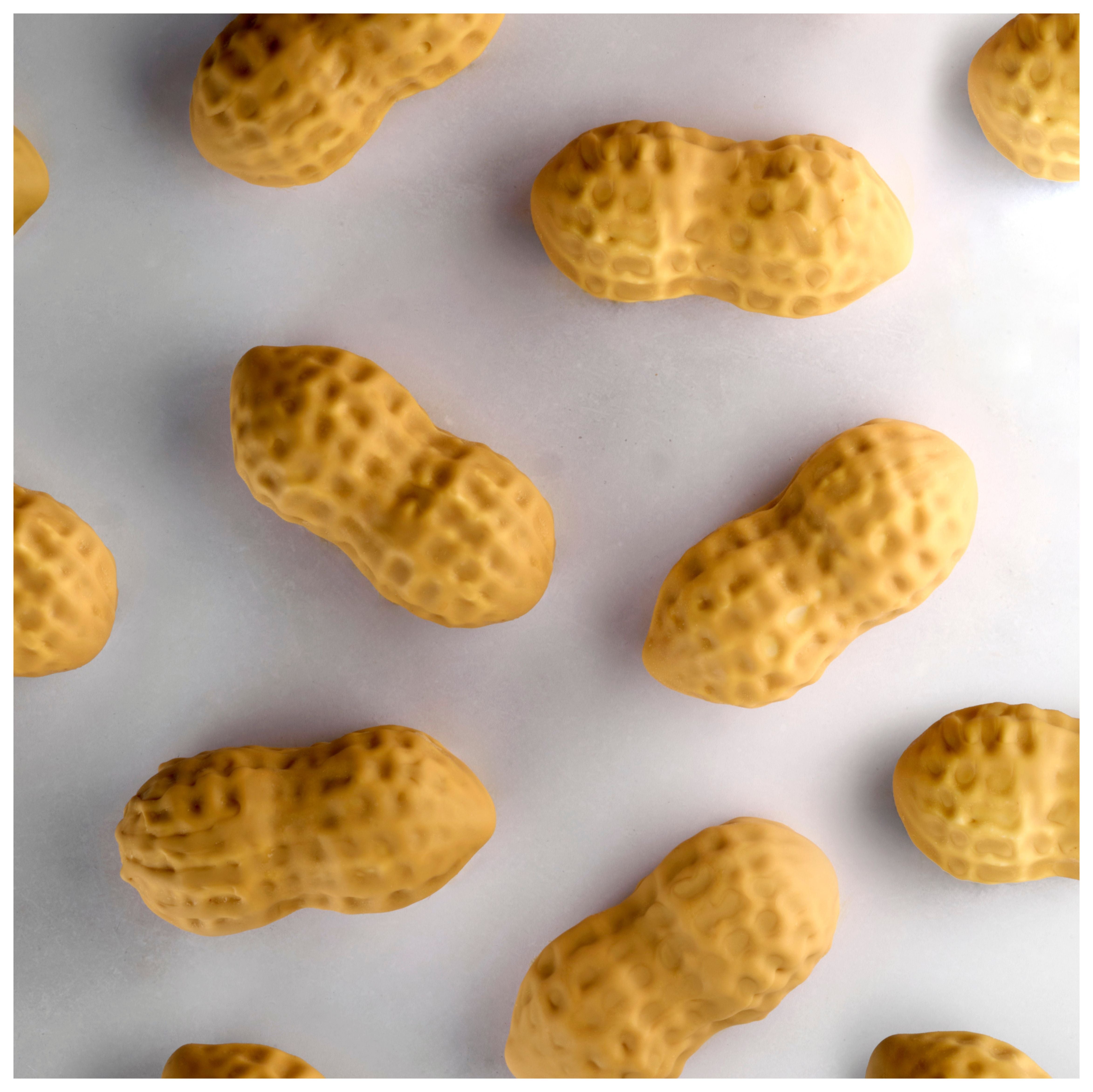 PX3230 Peanut stampo in silicone per miniporzioni arachide