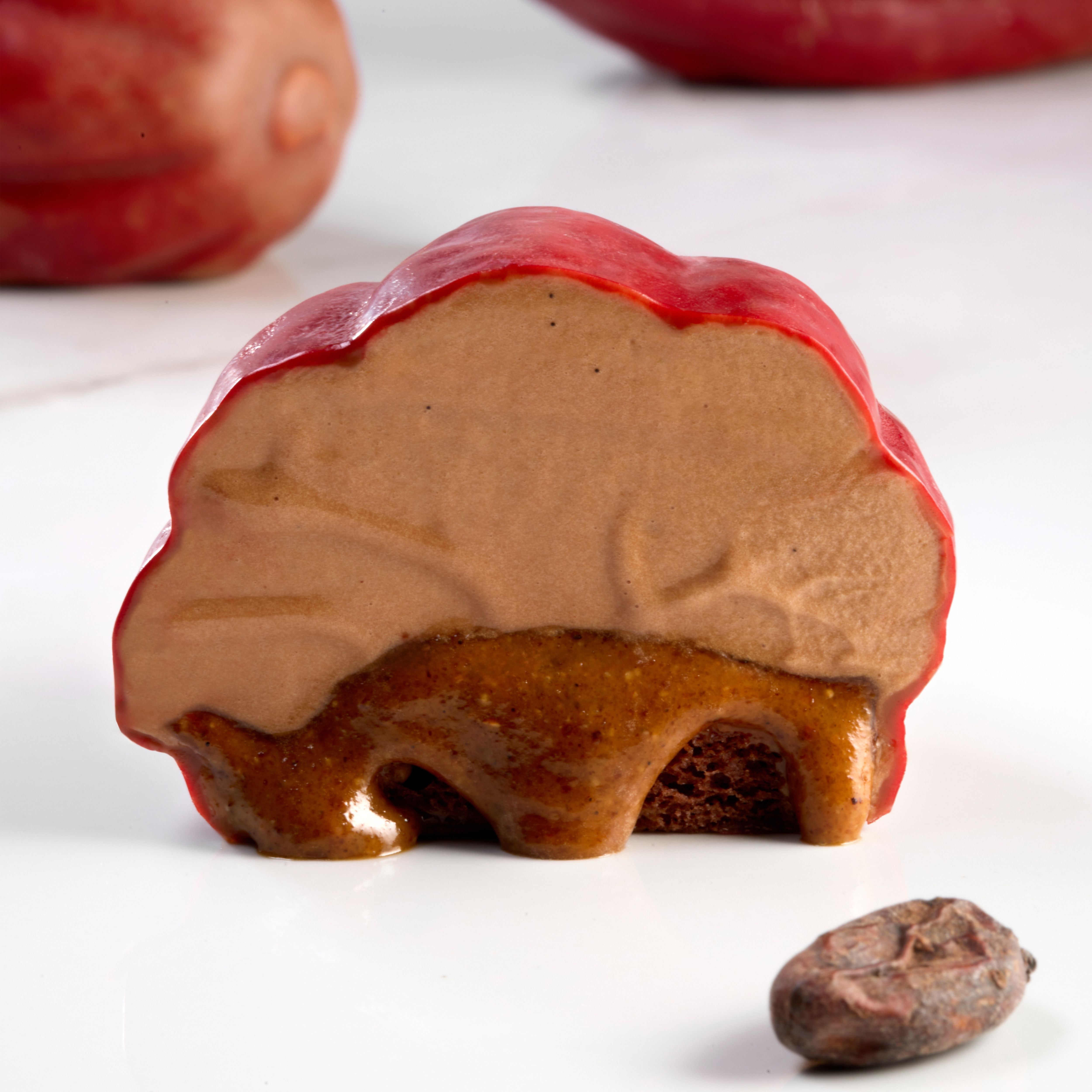 PX43136 Cabosse stampo in silicone per monoporzioni frutto cacao