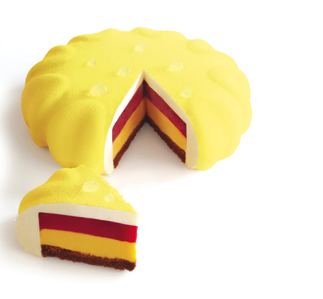 Pavoni Italia | Professional | PX061 Pavoflex moulds for inserts